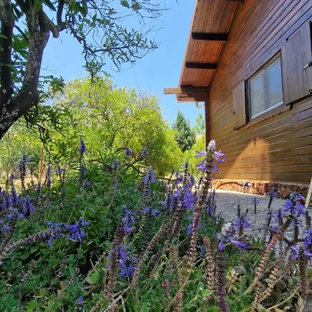 Mosquito Chalet Silves