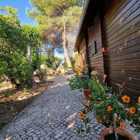 Mosquito Chalet Silves
