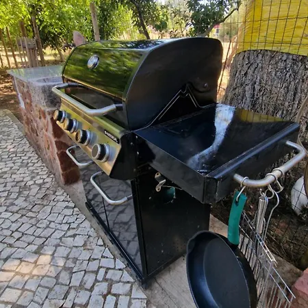 Mosquito * سيلفيس