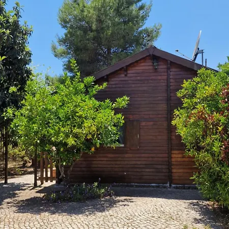 Mosquito Chalet